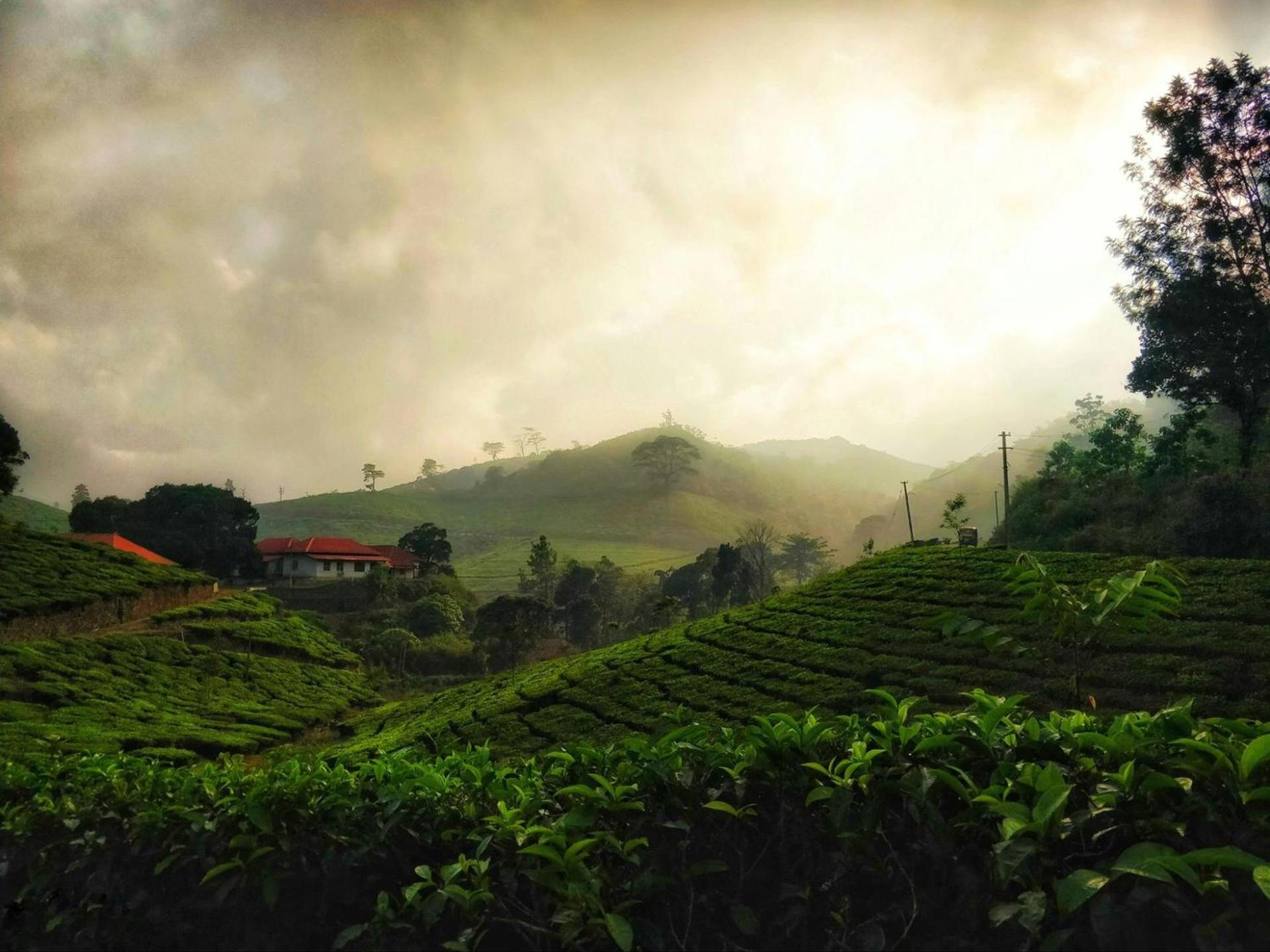 Kuttikkanam, Kerala