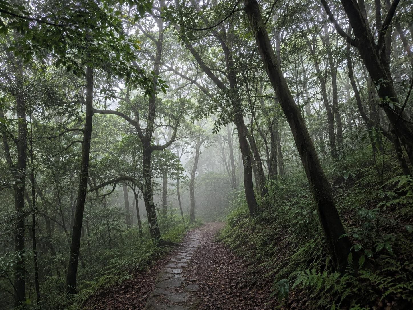 Binsar Wildlife Sanctuary