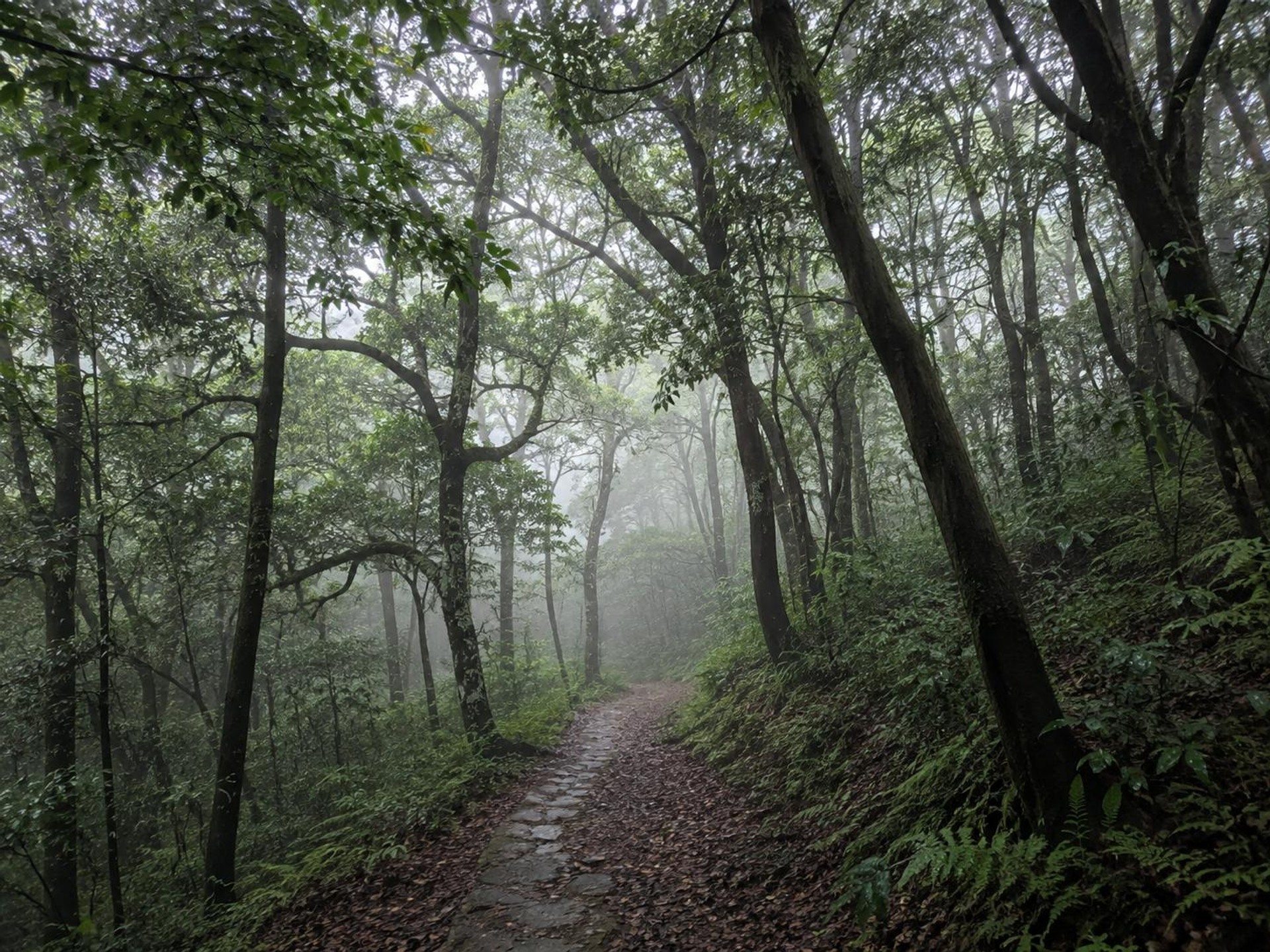 Binsar Wildlife Sanctuary