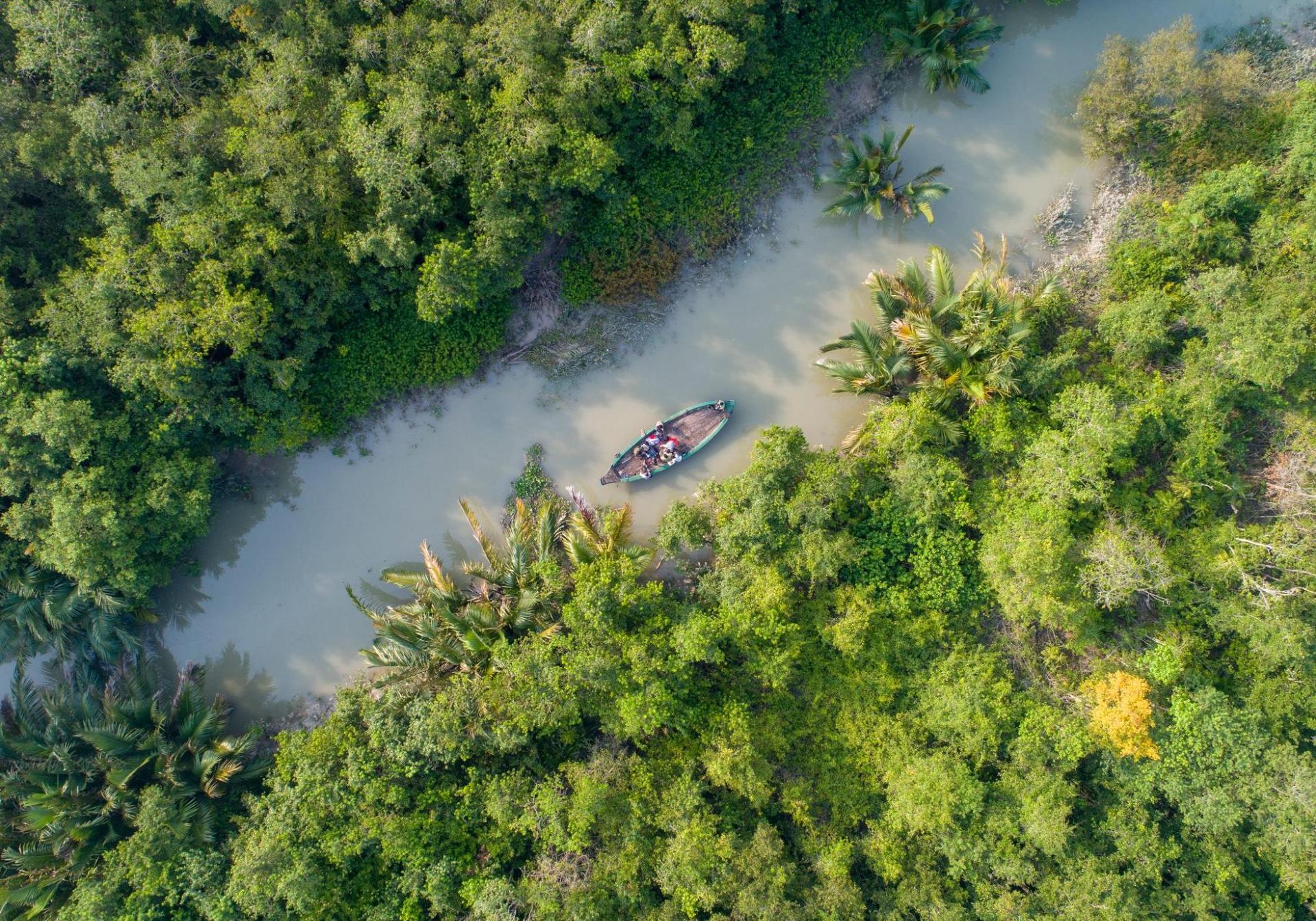 A boat cruising through Sundarban