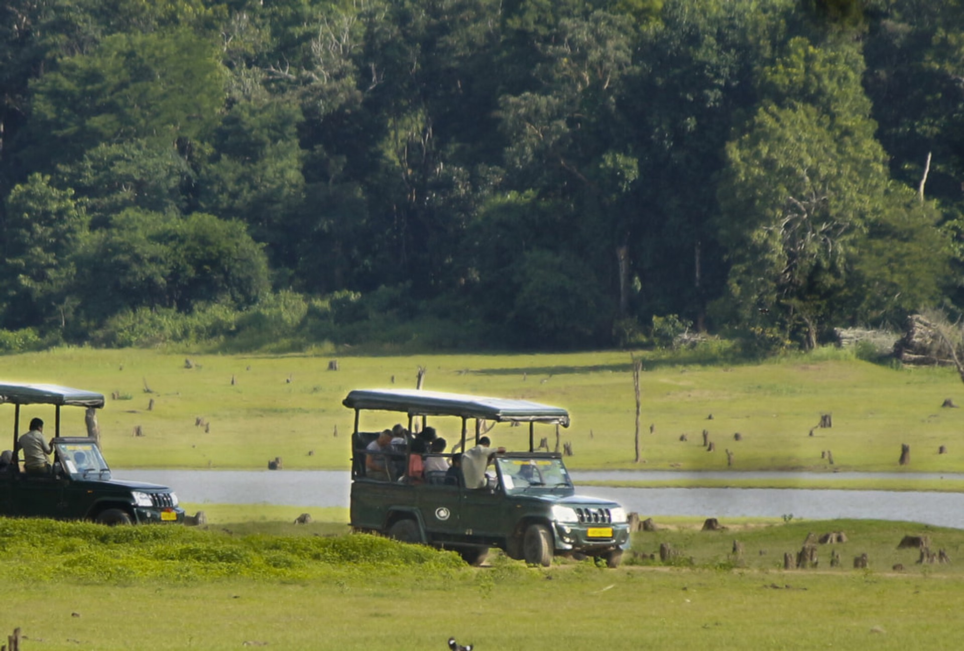 Kabini river safari