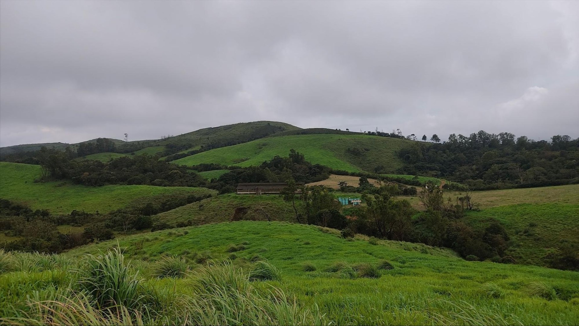 Vagamon misty hills