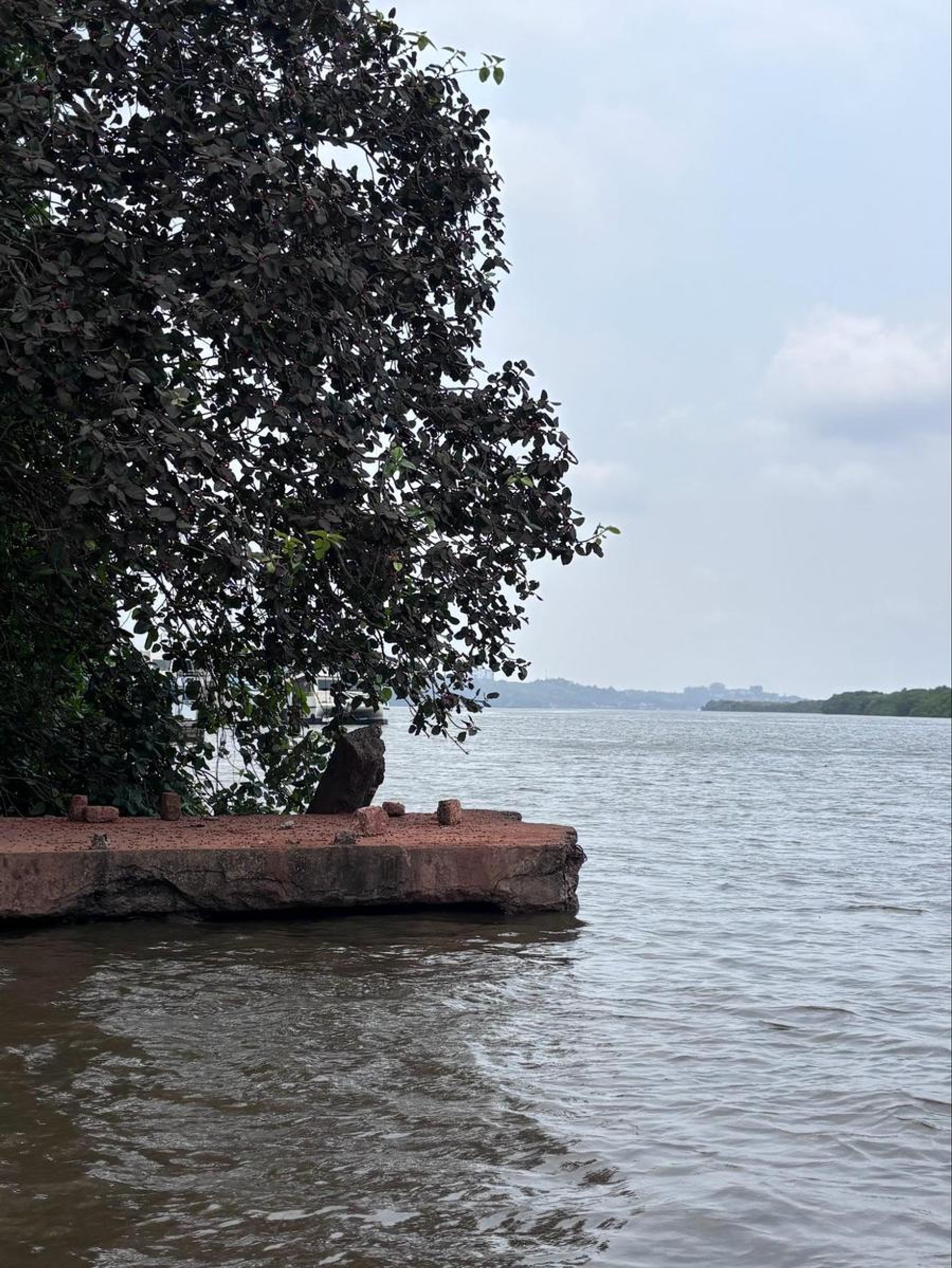 Mandovi River from Divar Island