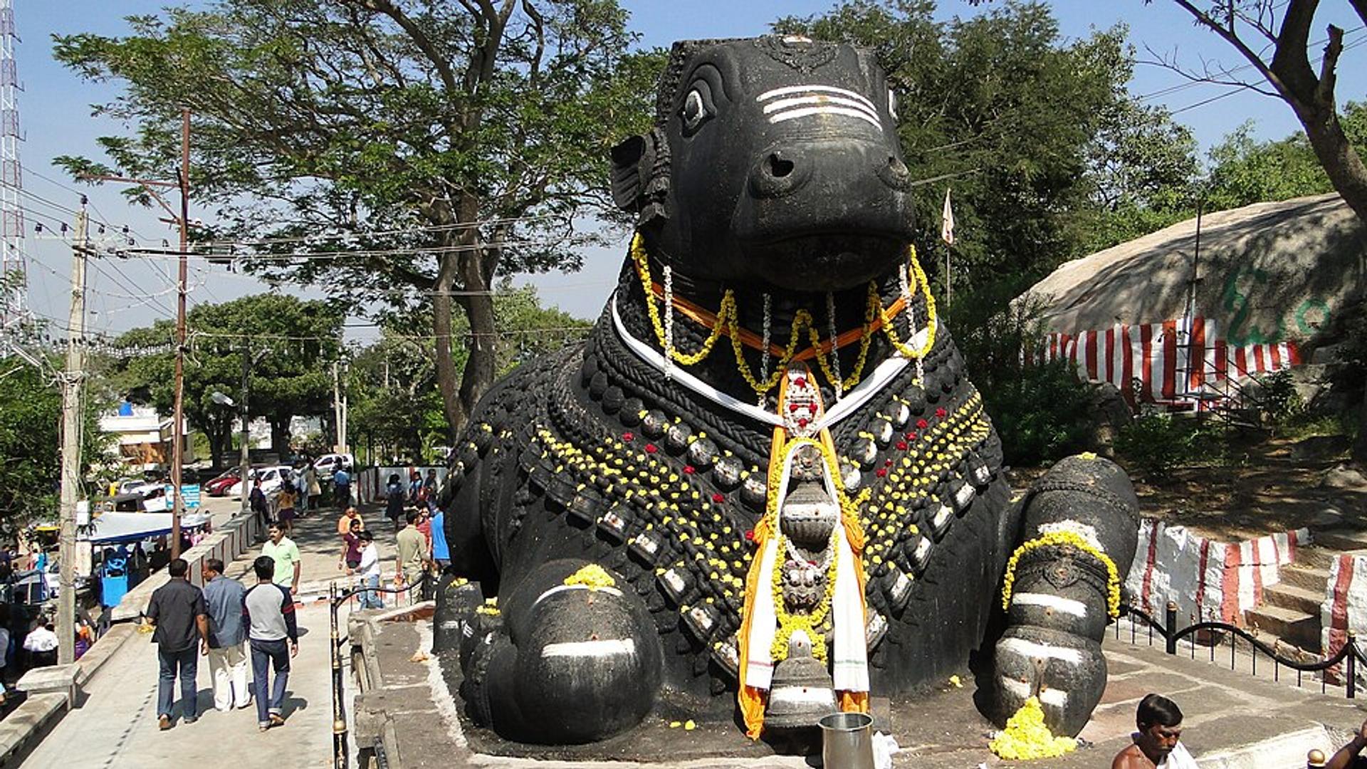 Nandi at Chamundi Hills