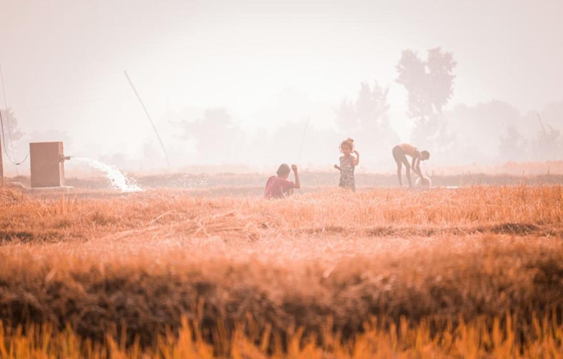 Winter in North India
