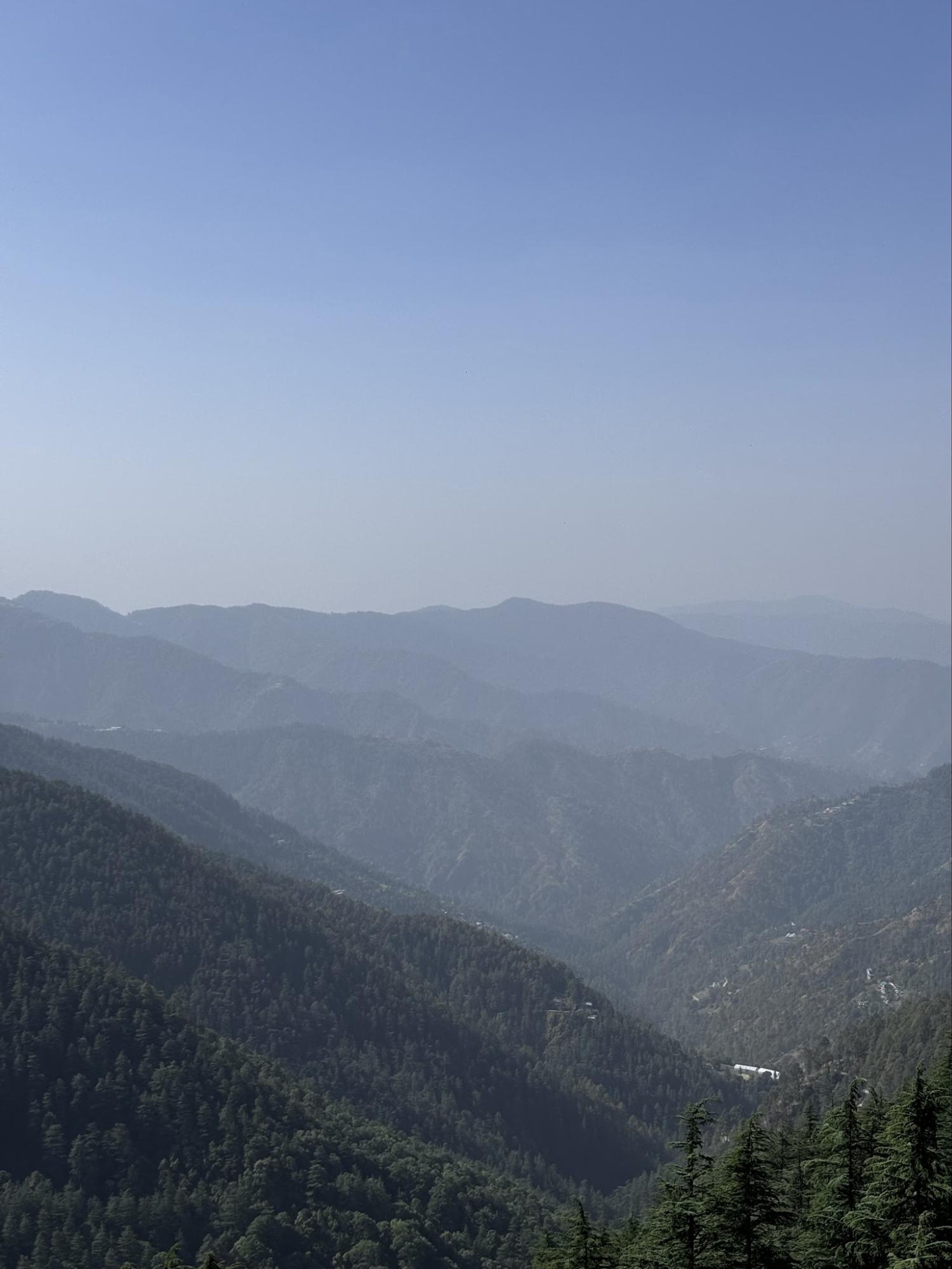 Kufri view