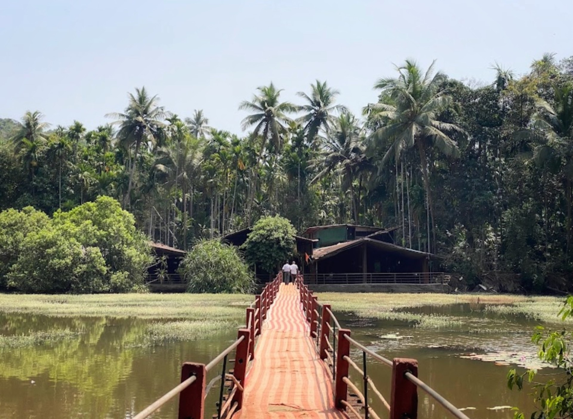 Bamboo Bridge in Panaji