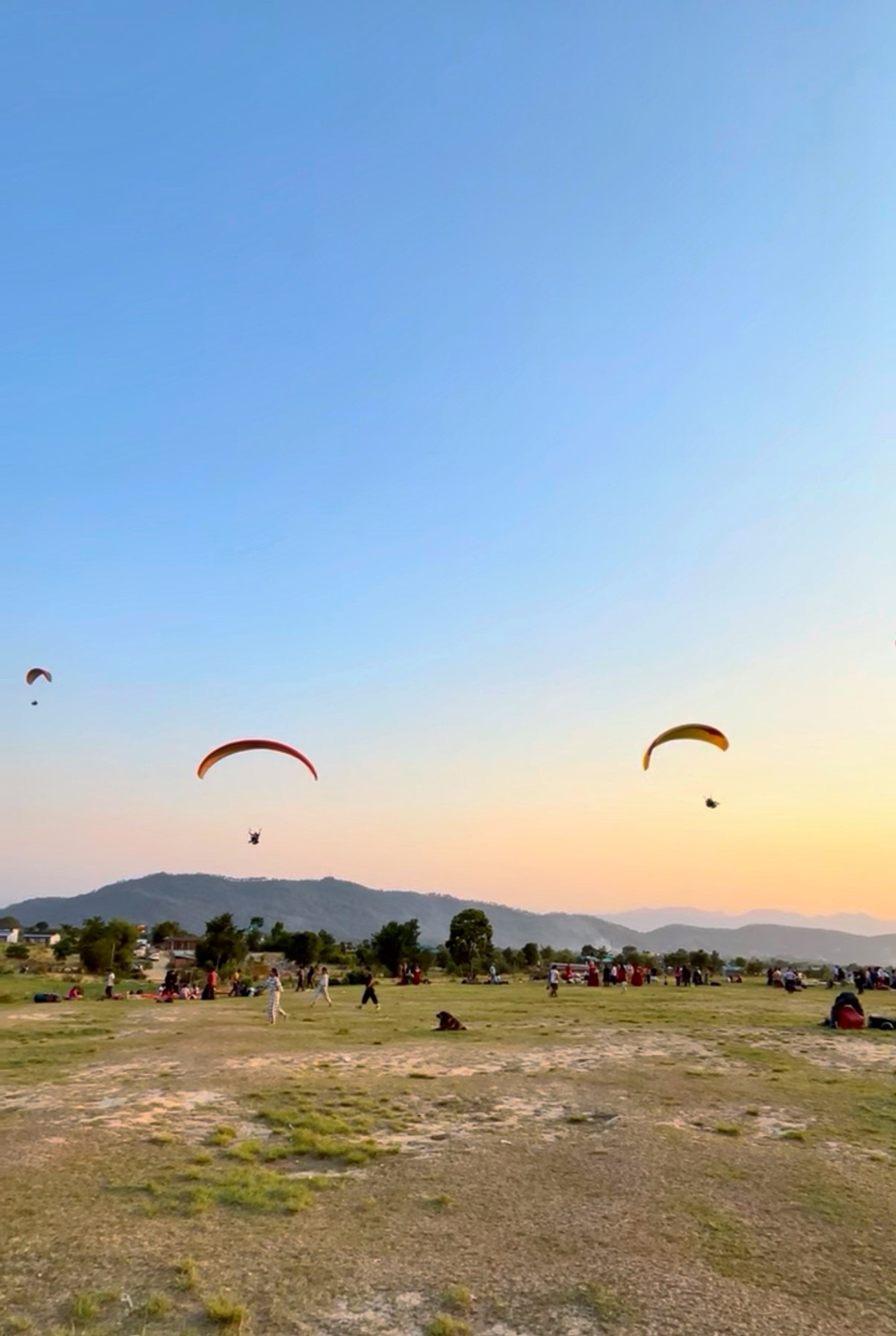 Bir Billing paragliding