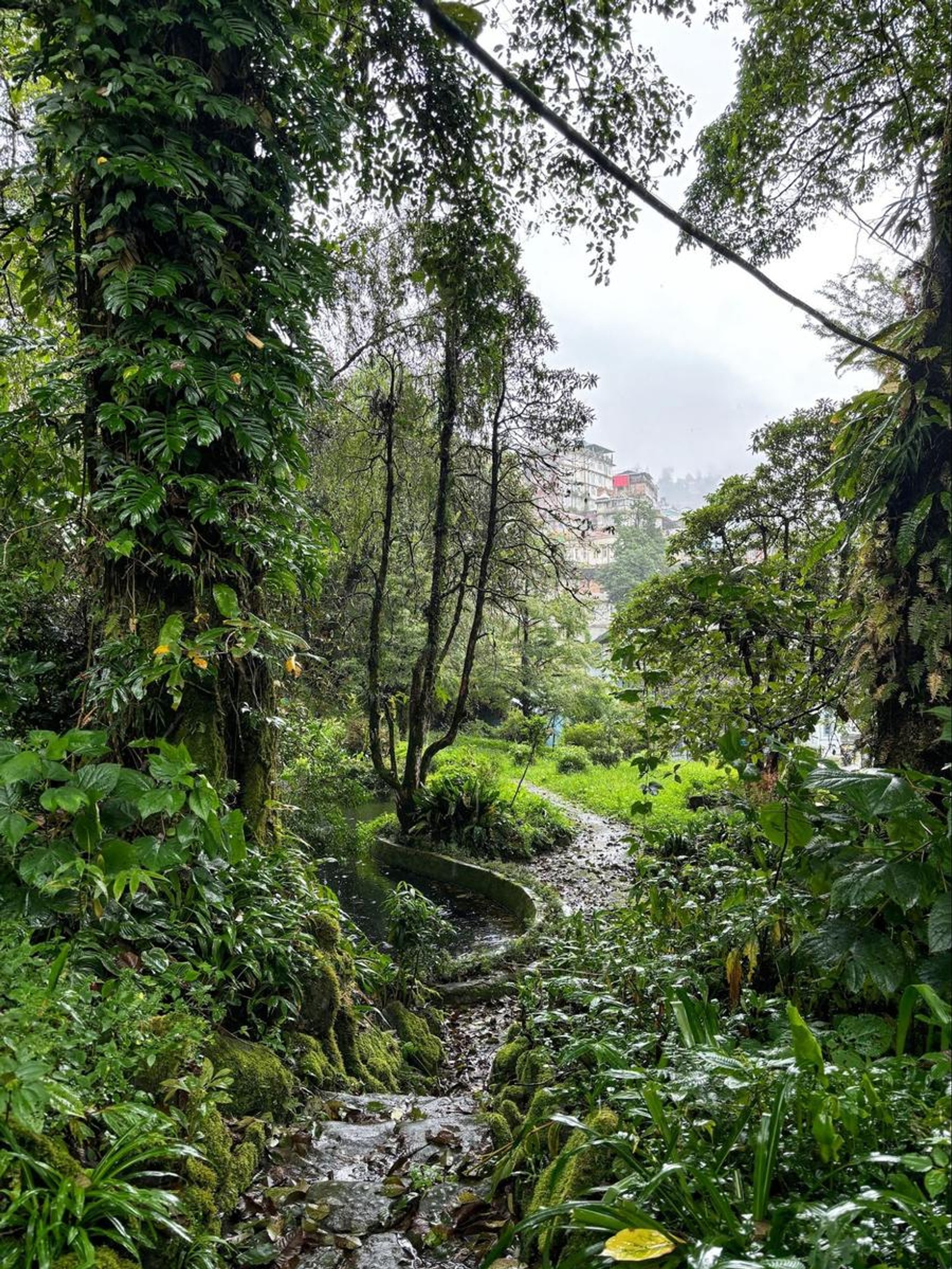 Views from the Padmaja Naidu Himalayan Zoological Park