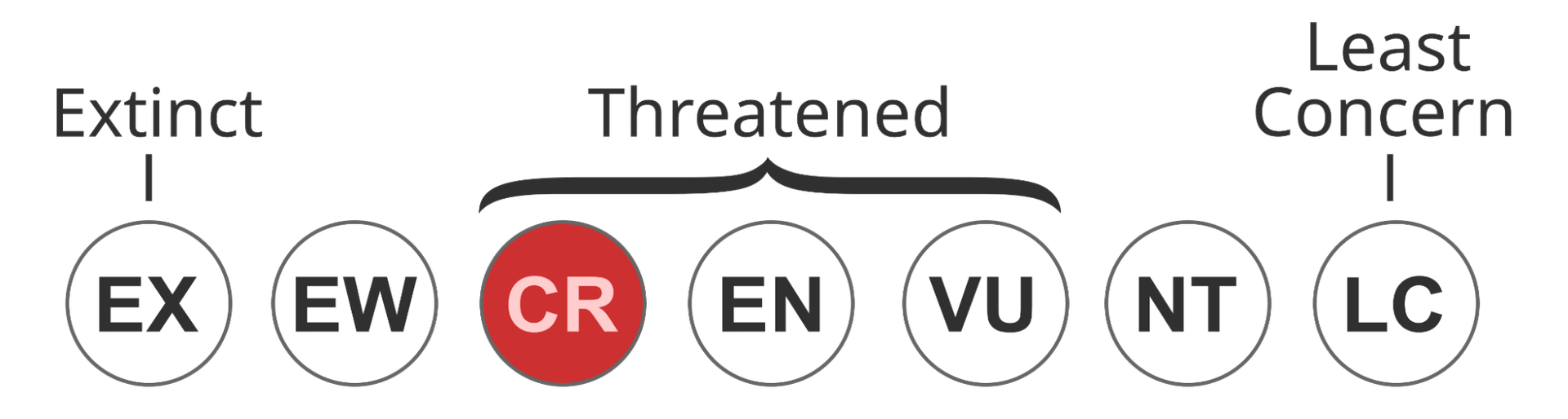 Status of IUCN Red List: Critically Endangered