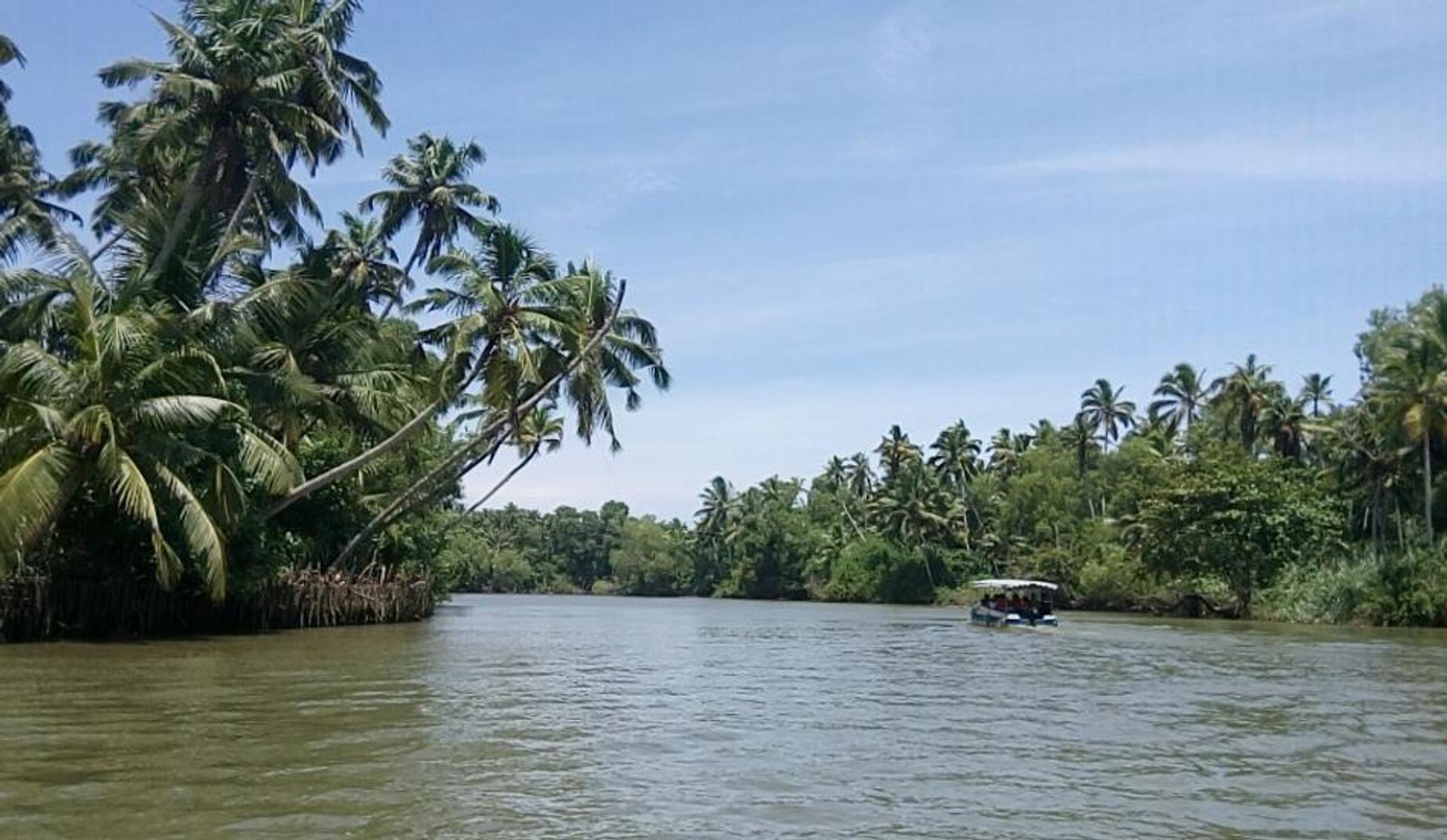 The scenic beauty you get to see from your houseboat