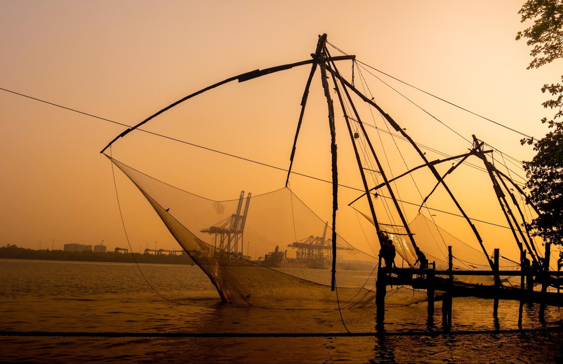The Chinese Fish Nets at sunset