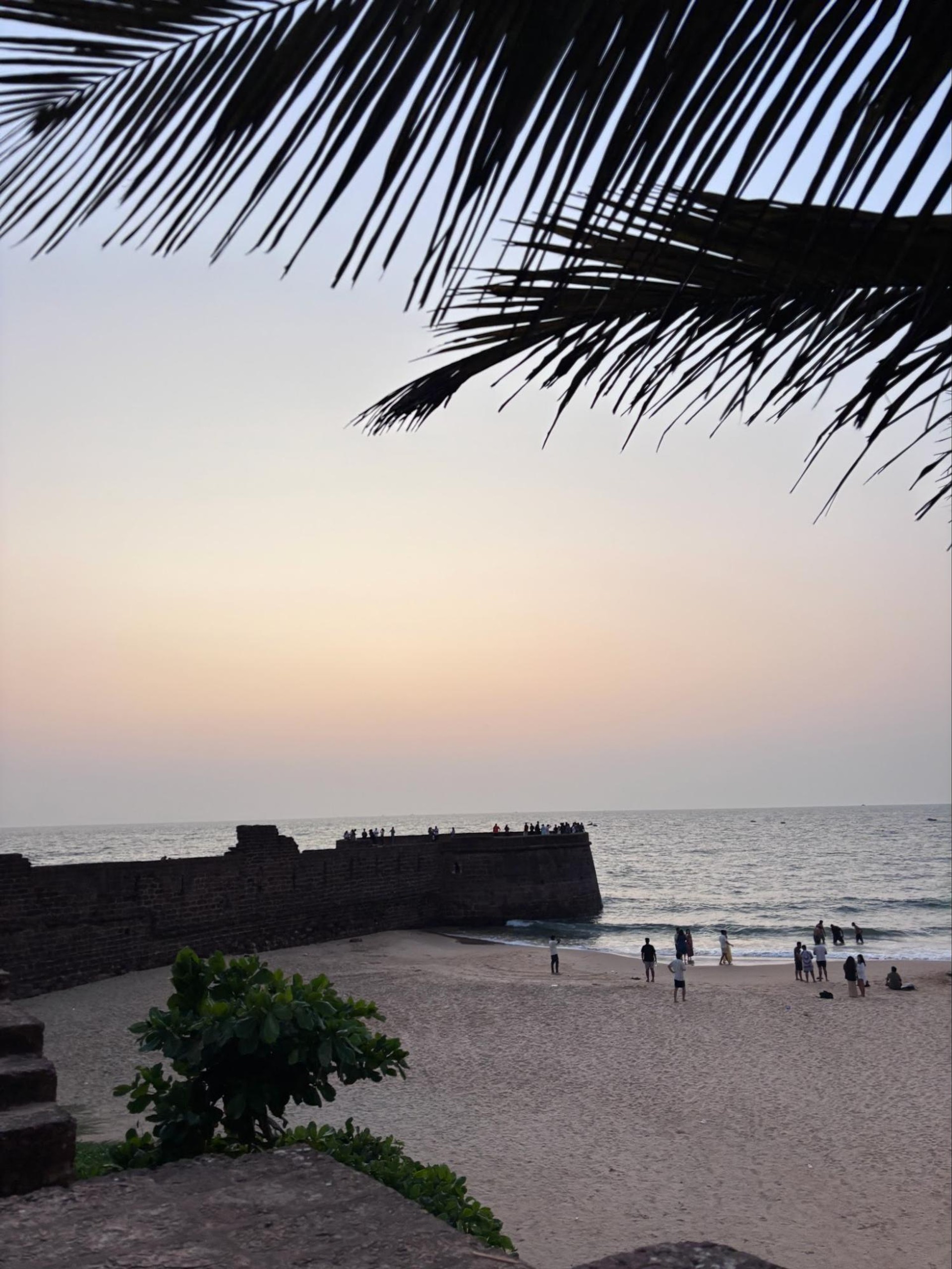 Beach View and Sunset