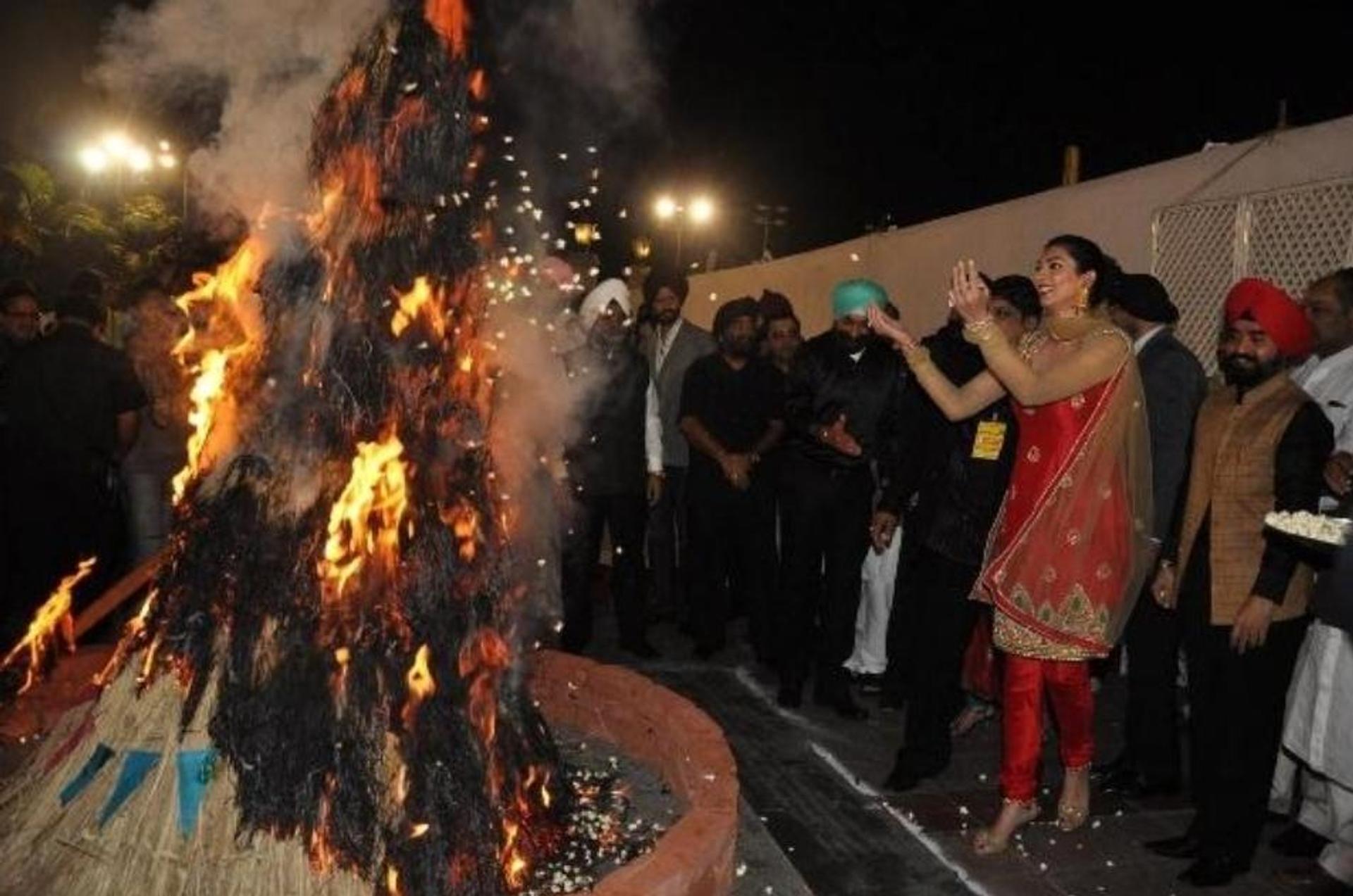 Lohri celebration