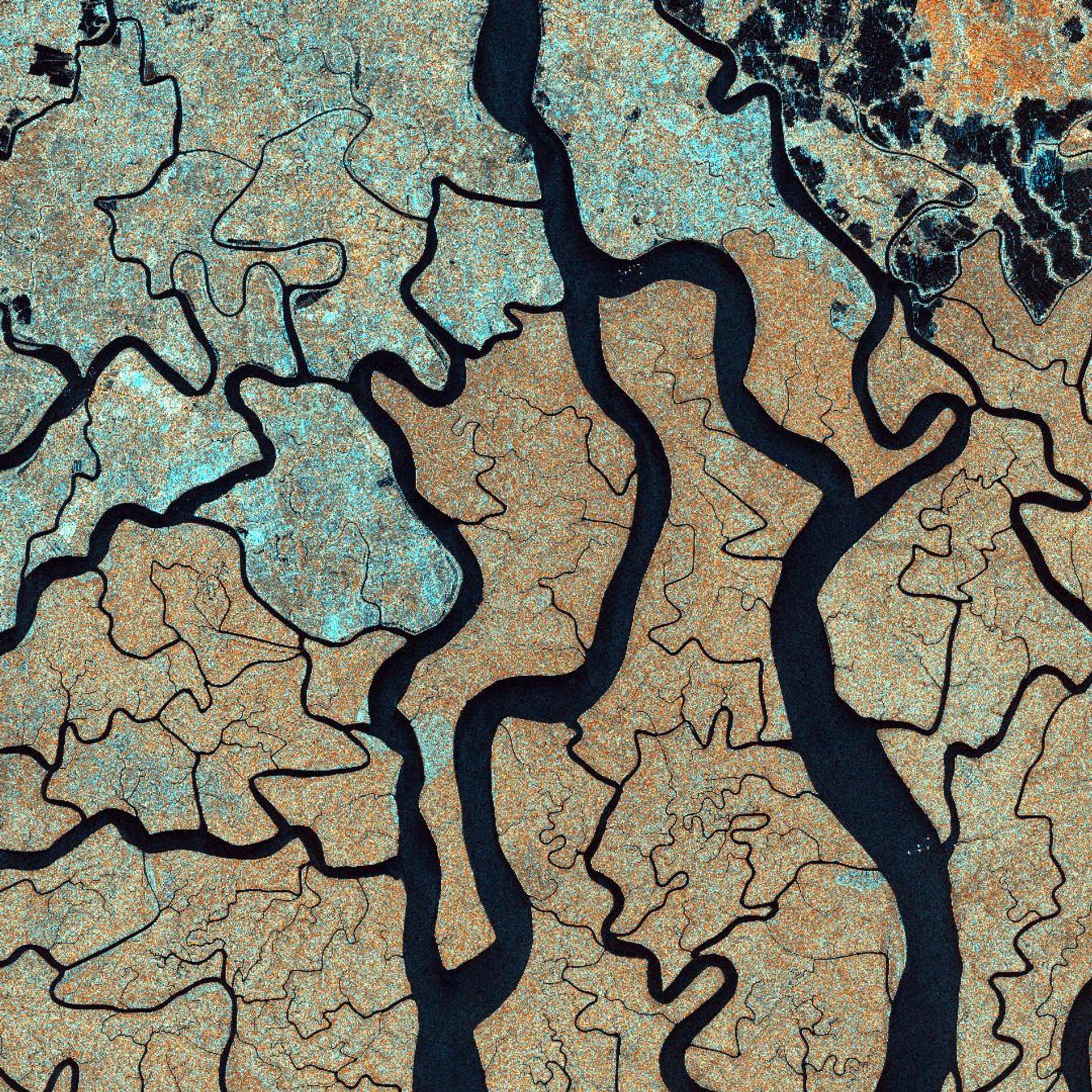 Satellite view of Sundarban National Park