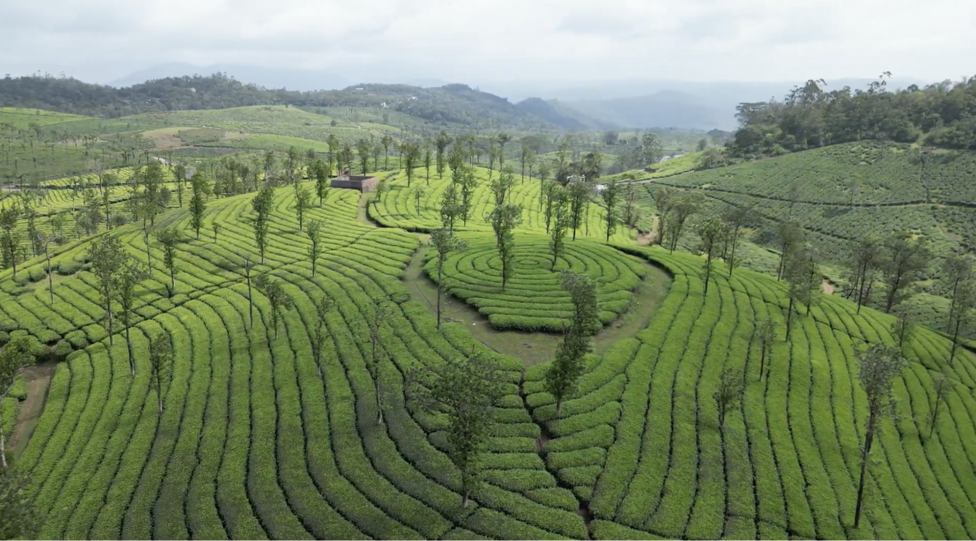Munnar
