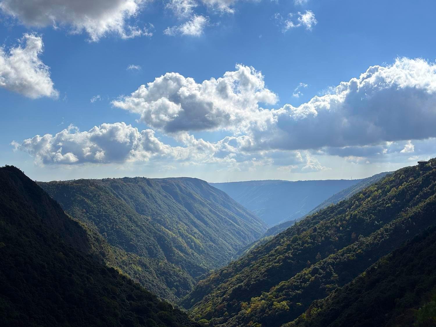 Nature view