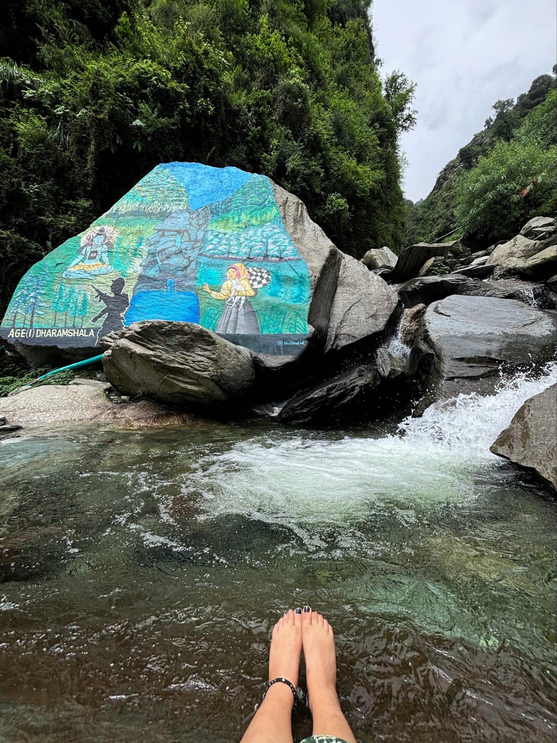 McLeod Ganj Gallu trek
