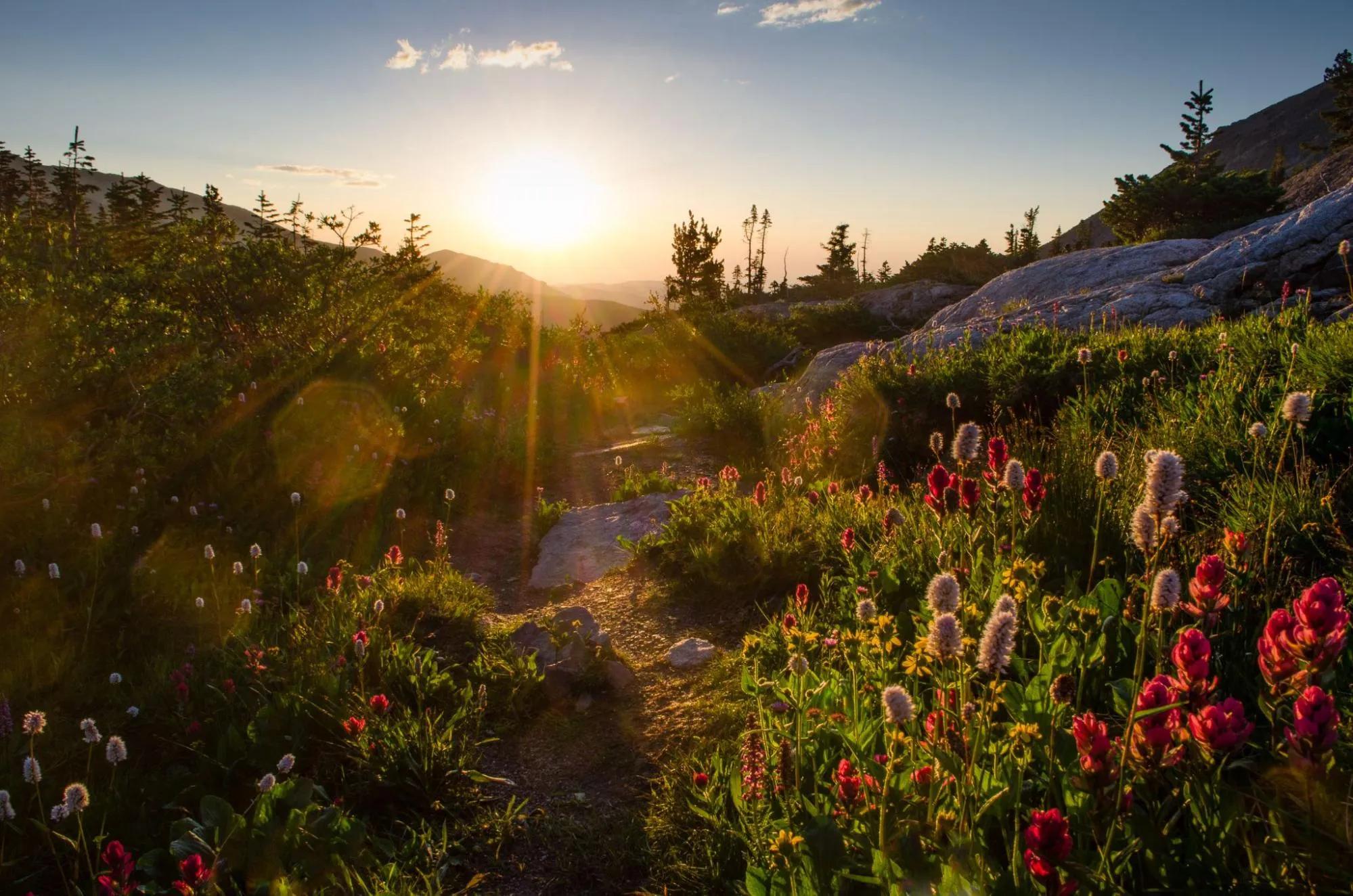 Sustainable Denver