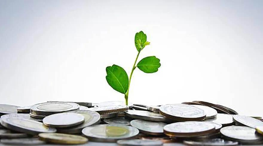Ethical Banking In The USA: Understanding Socially Responsible Banking