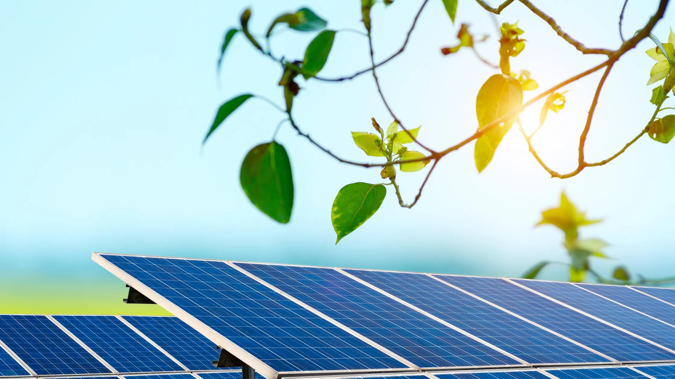 Atmos solar loans available in more states