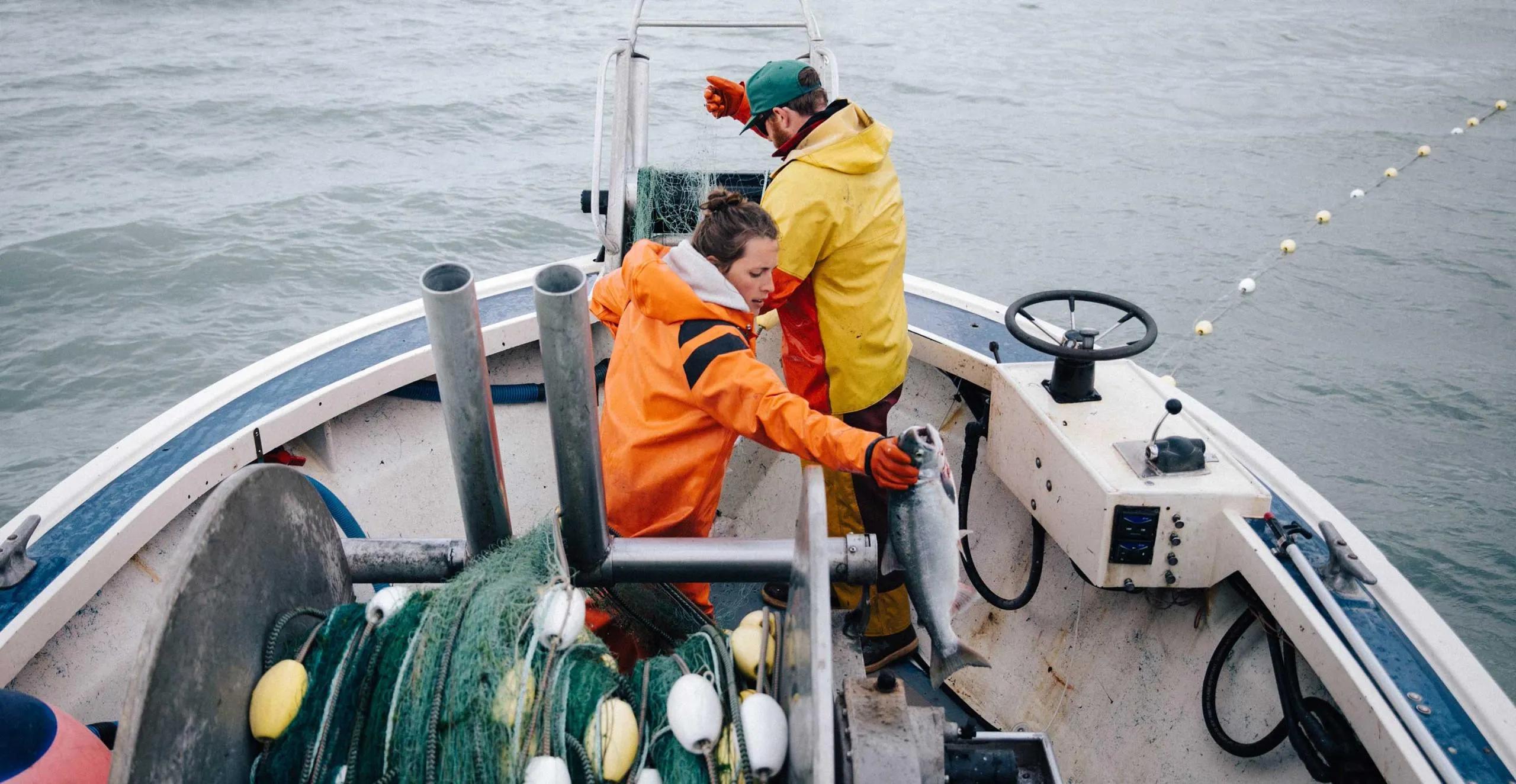Get Involved with Climate-Saving Nonprofits!