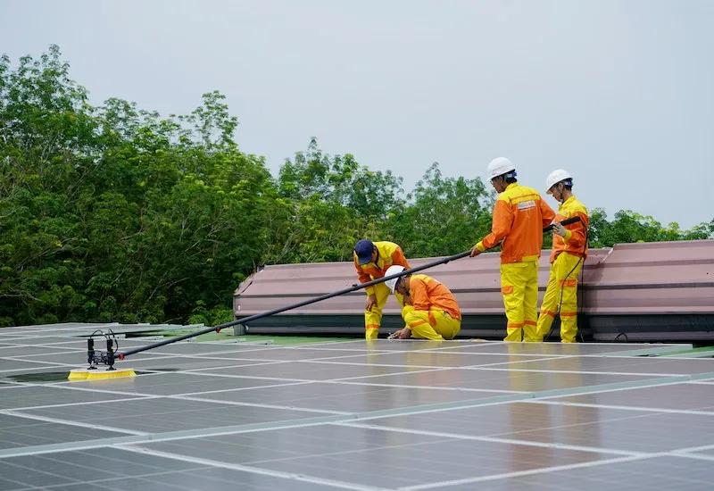 Solar Panel Cleaning for Beginners