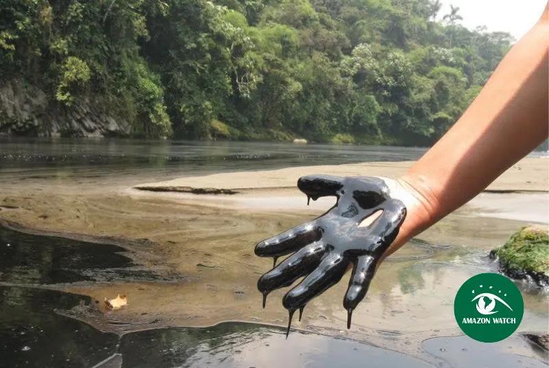 Don’t Bank on Amazon Destruction
