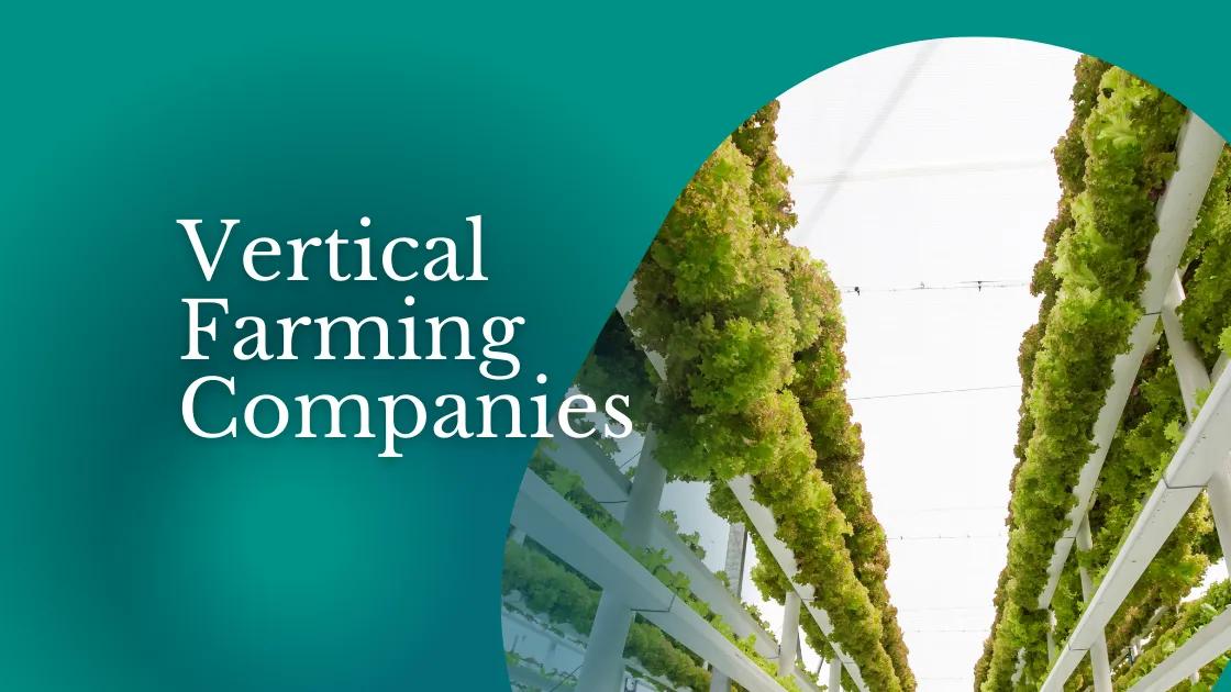 Vertical Farming Companies