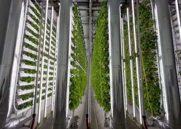 Vertical farm