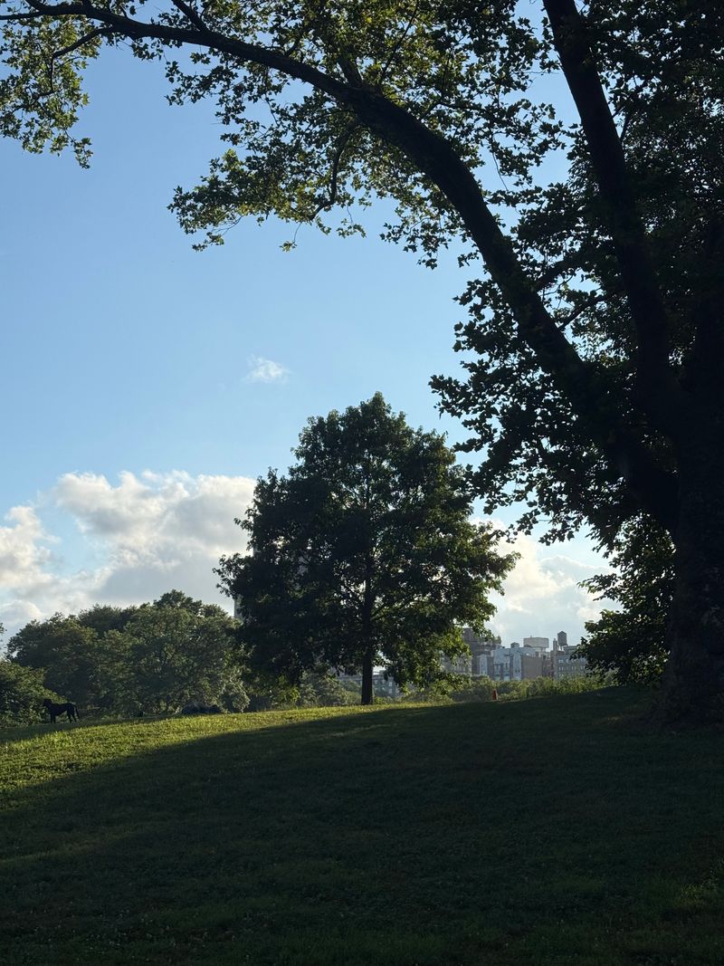 76y5EjmeLusgbergeyLh6G