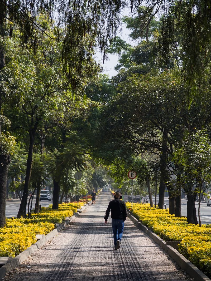 Polanco Walkway | Winter 2025