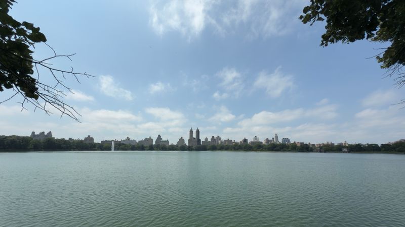 Central Park | Summer 2025