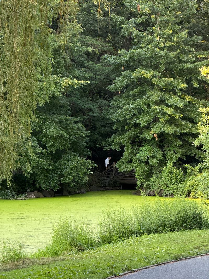 76y5EjmeLusgbergeyLiWy