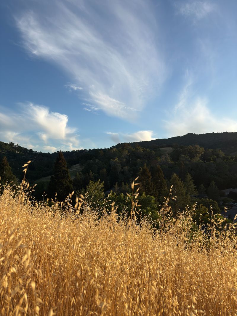 Back Home | Summer 2025