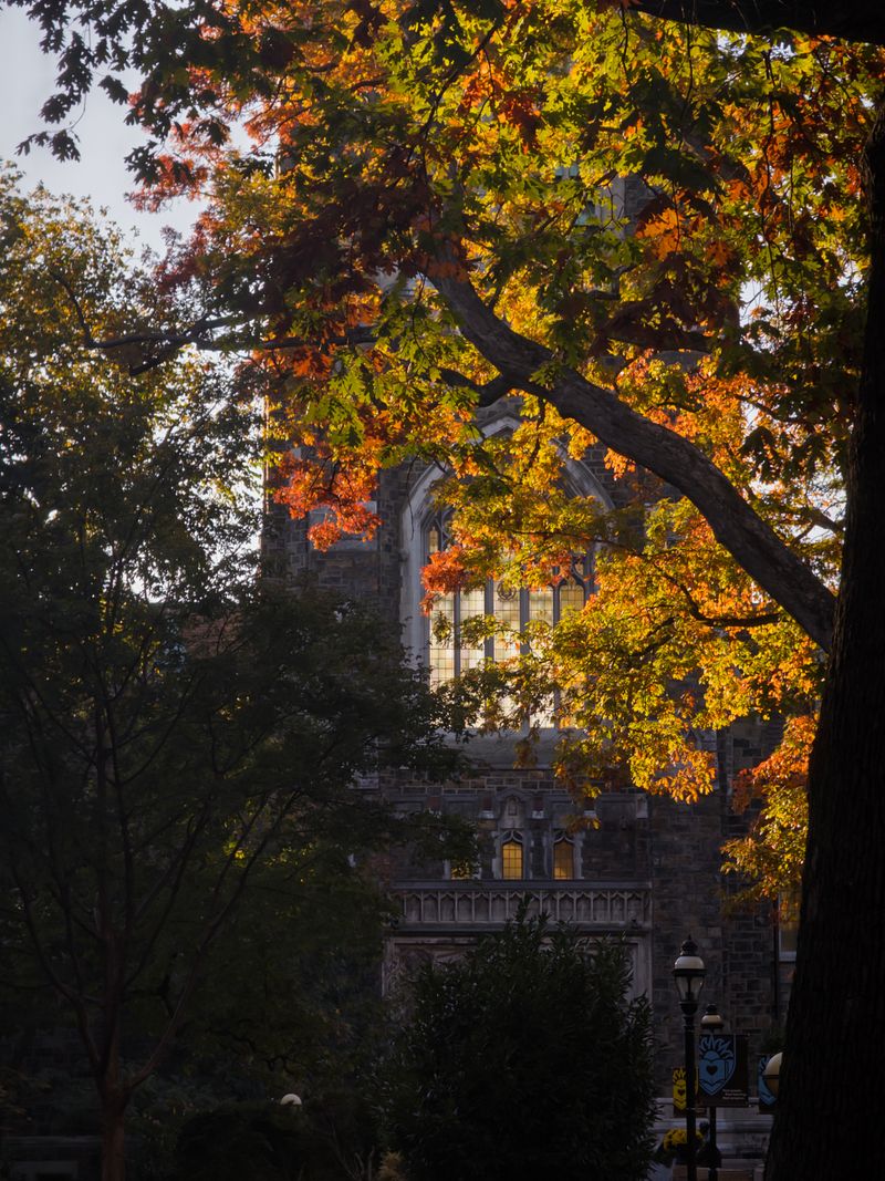 Alumni Memorial Building | Fall 2025