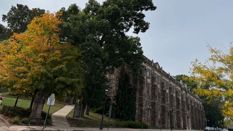 3fVk255H0aipQzY5mXA5Wa