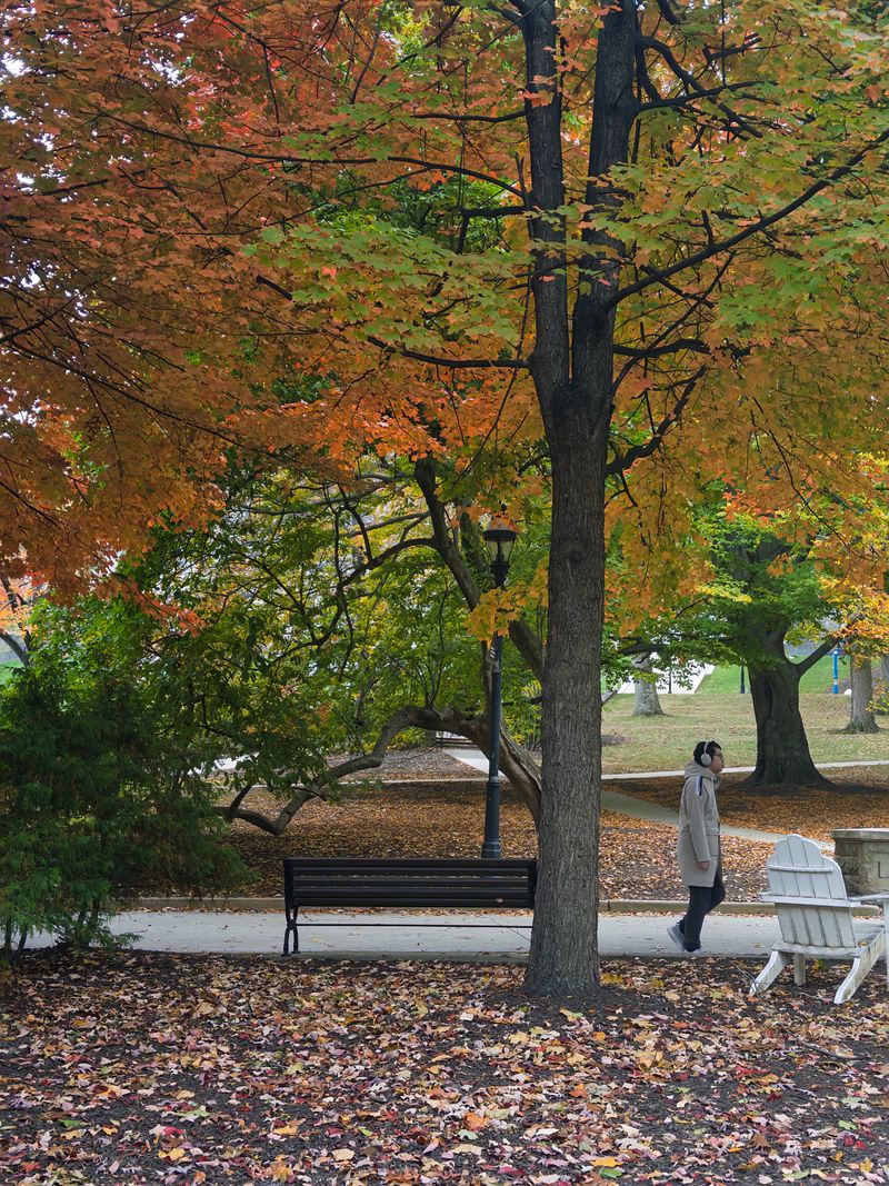 Walking Man | Fall 2025