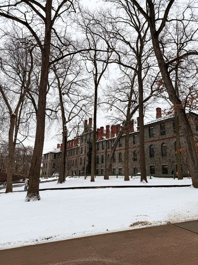 Chandler-Ullmann | Winter 2024