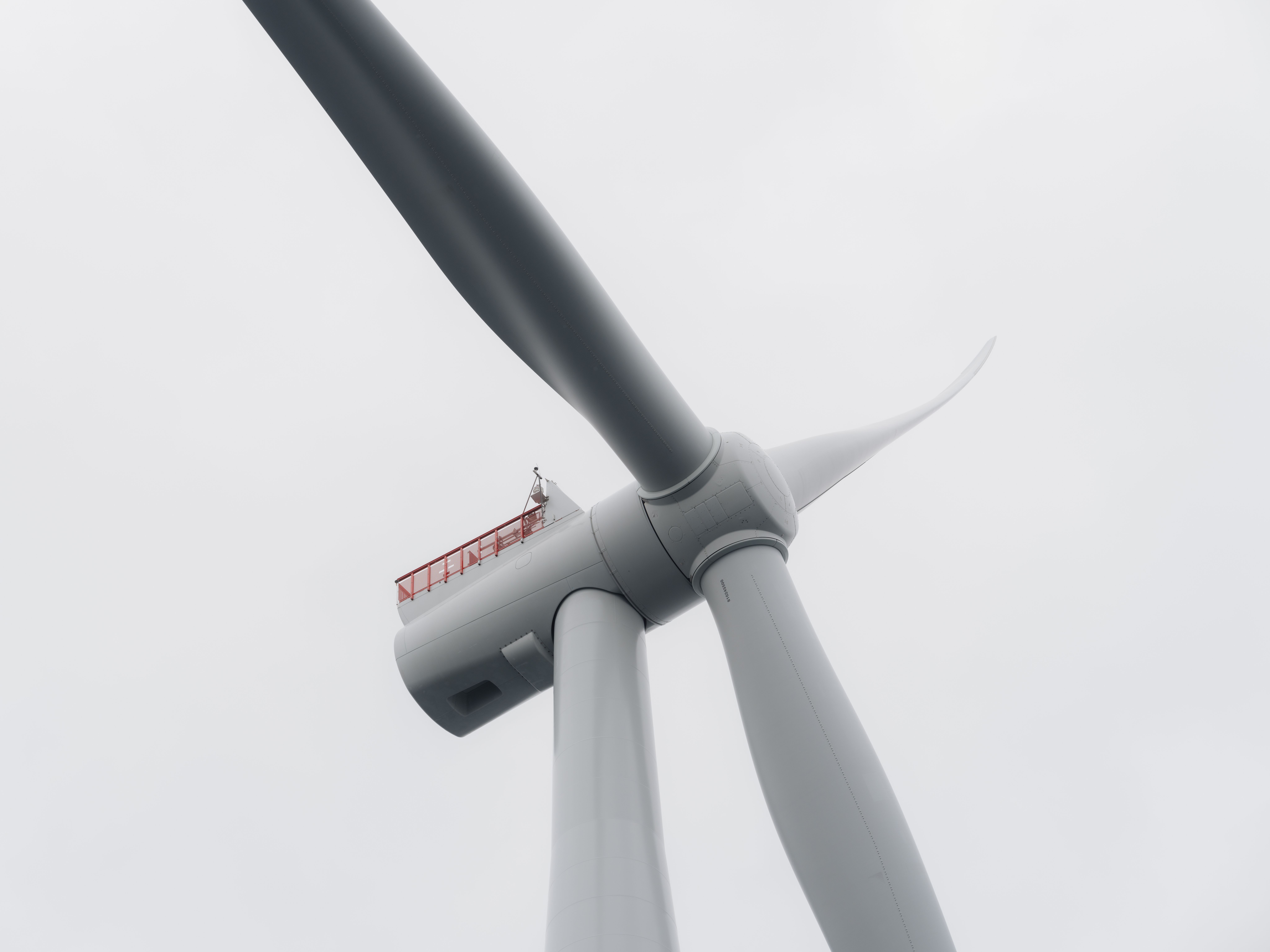 Environment - equinorcelticsea.co.uk