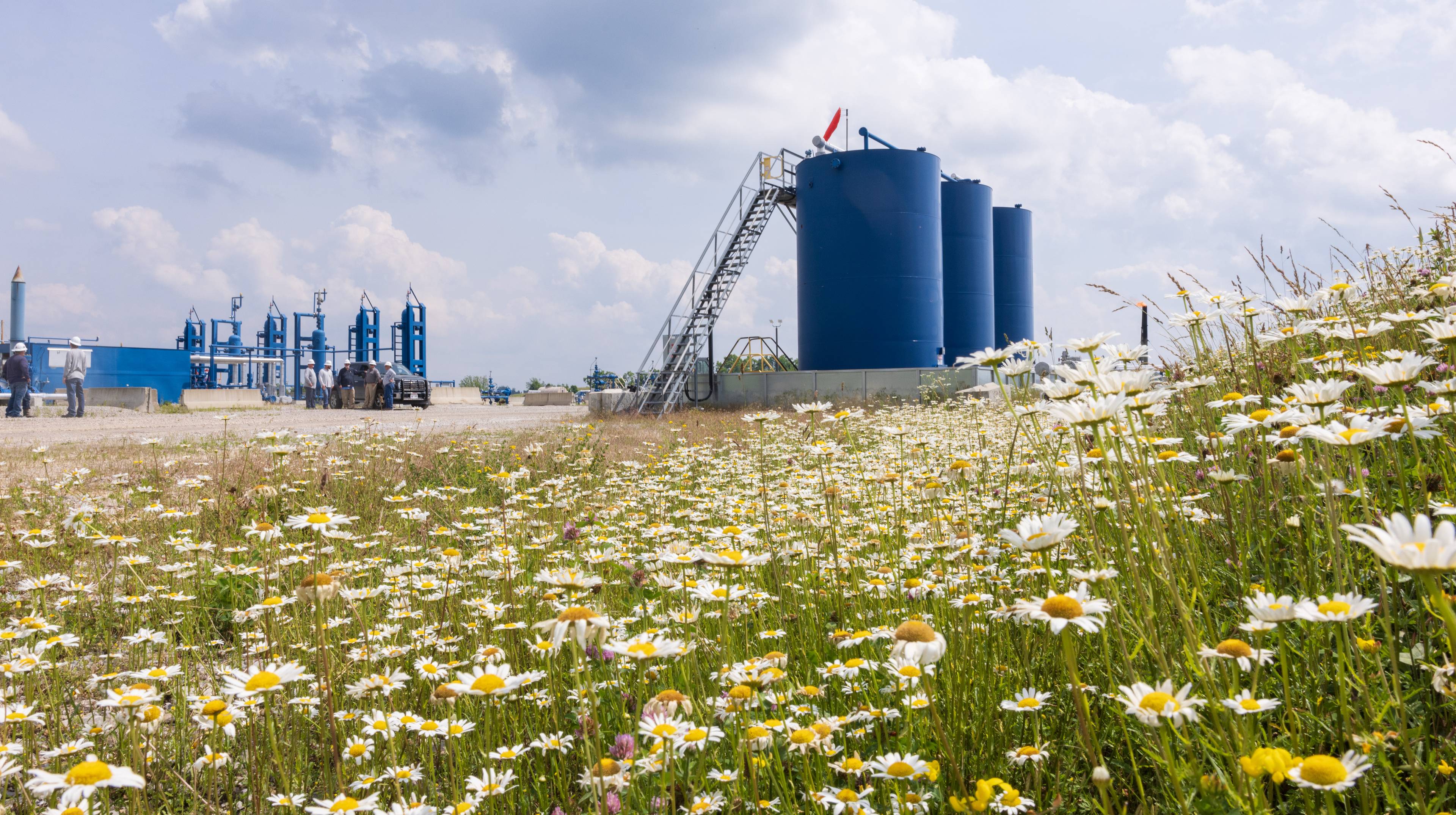 Processing facility with flowers in the foreground