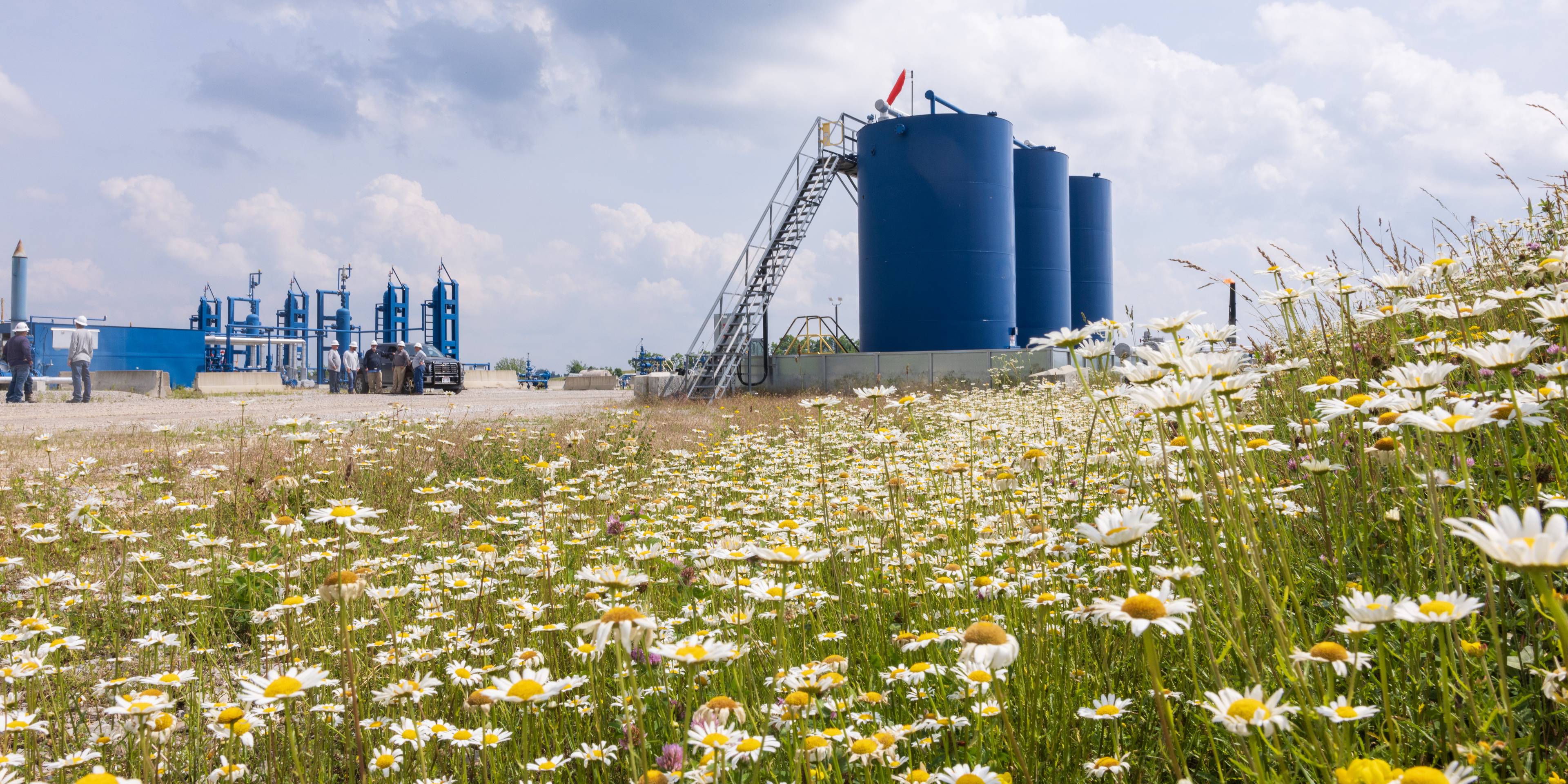 Processing facility with flowers in the foreground