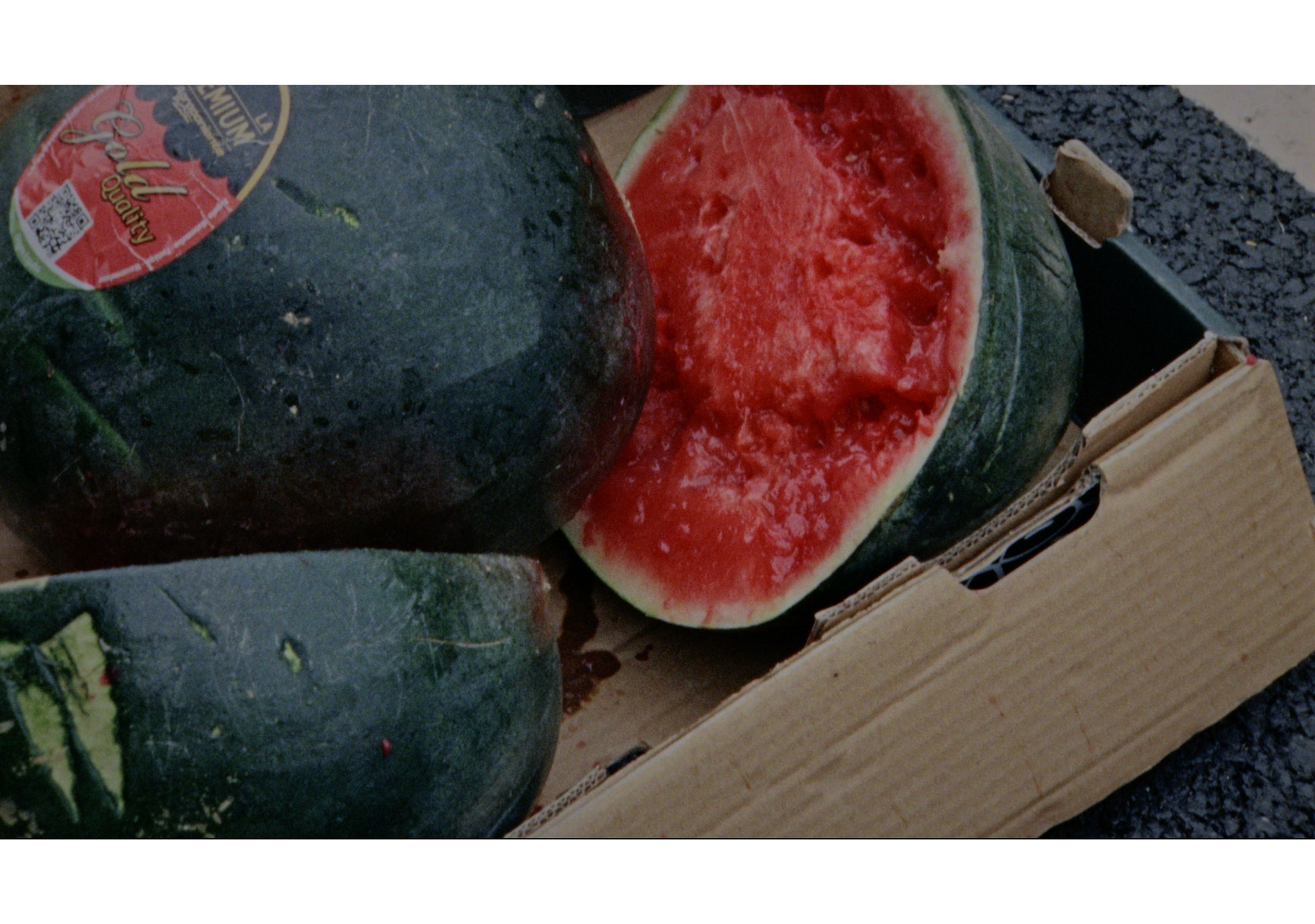 Intro Sequenz, Reasearch around dots