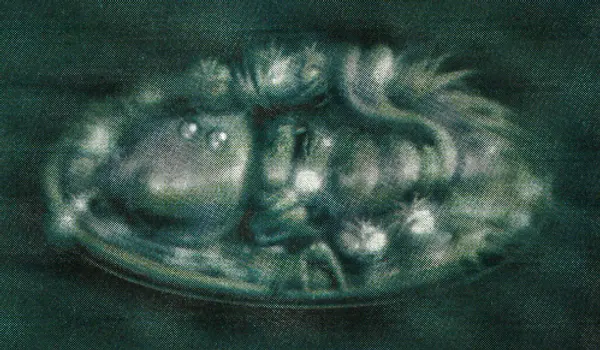 The Tale of Tran Thanh Duong