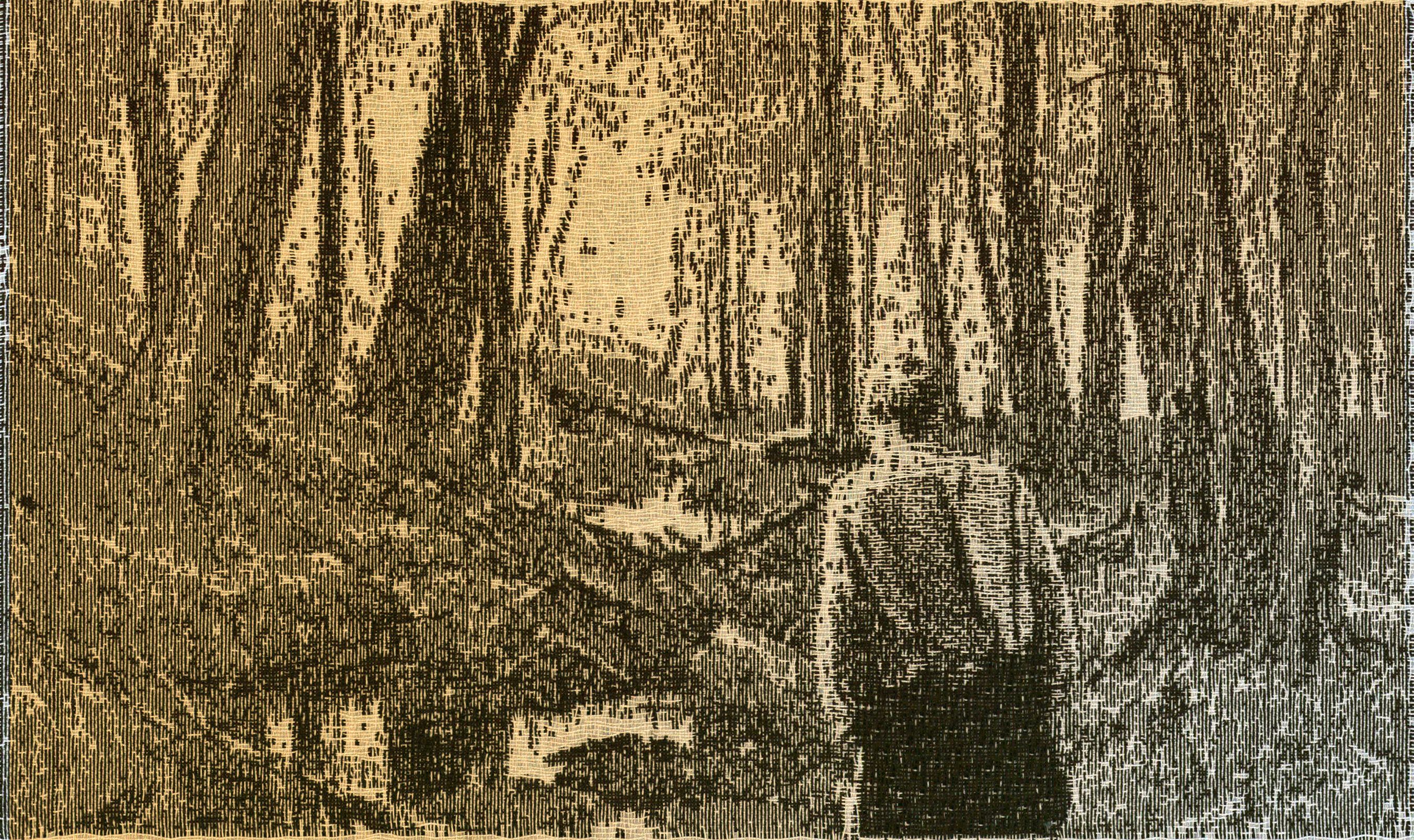 Whose Woods Are These