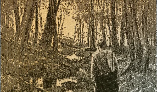 Whose Woods Are These