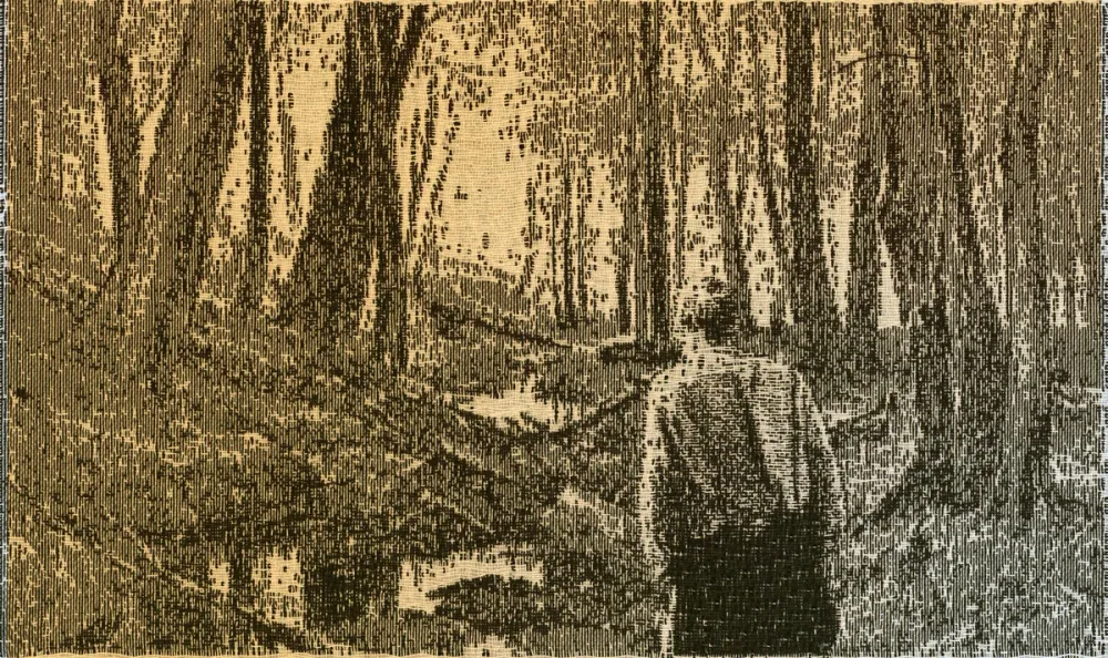 Whose Woods Are These