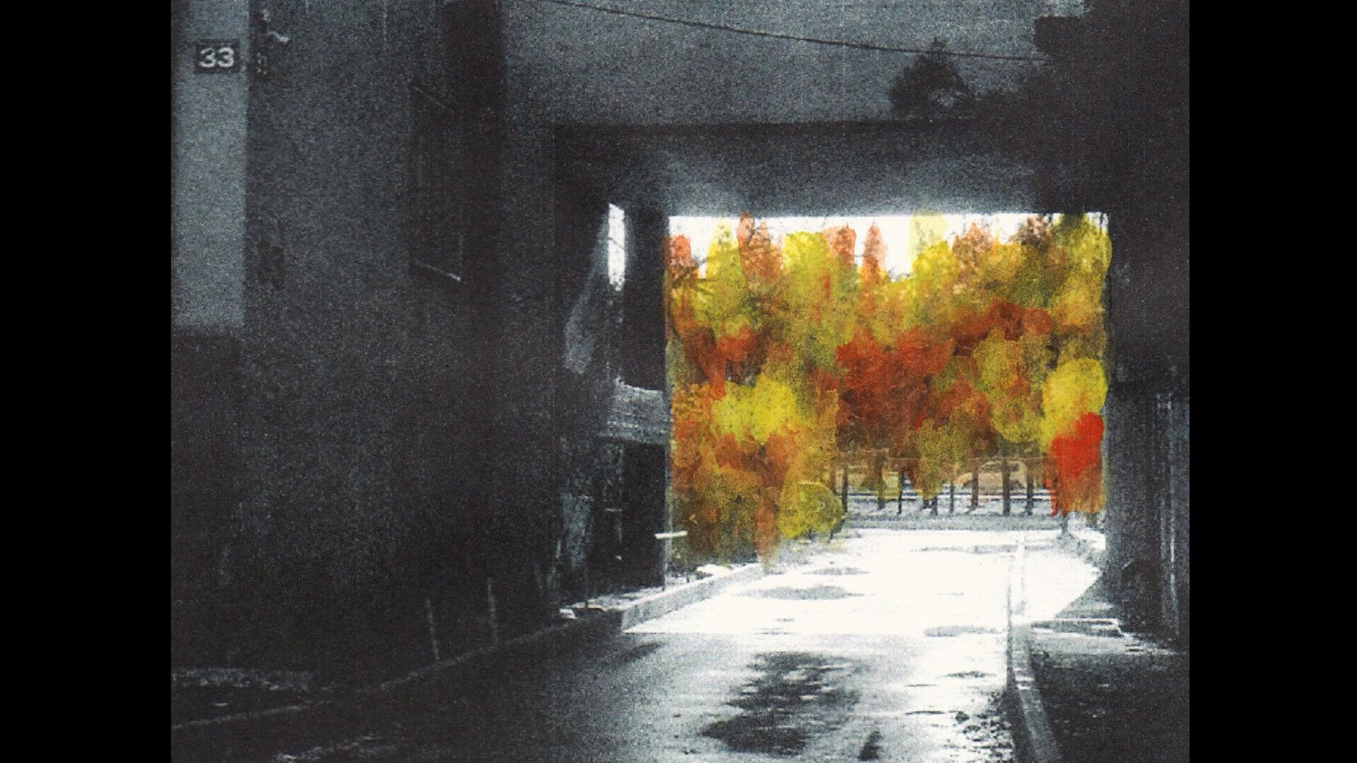 Because, I am a girl