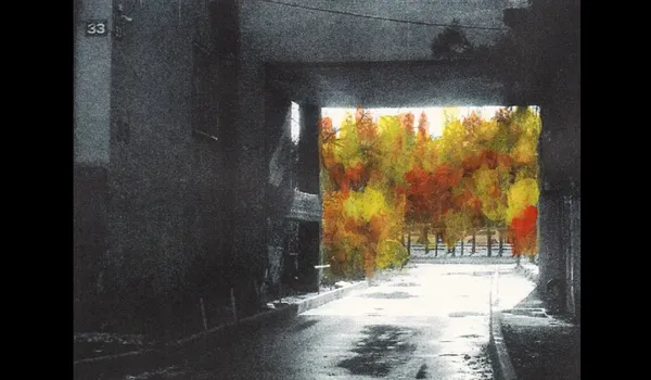 Because, I am a girl