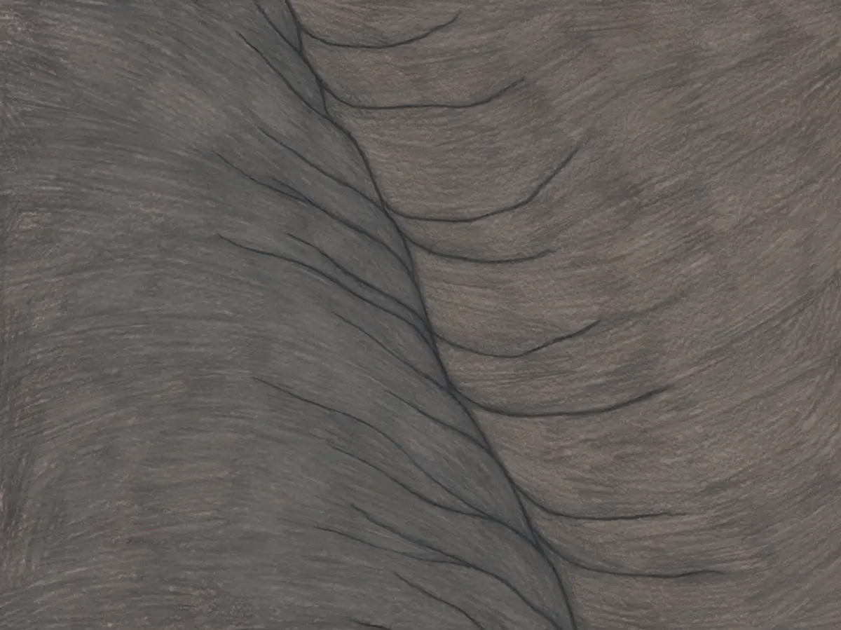 Azaletik Azalera / Skin to Skin (2021)